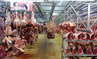 Seule la façon de tuer la viande change dans l'appellation halal